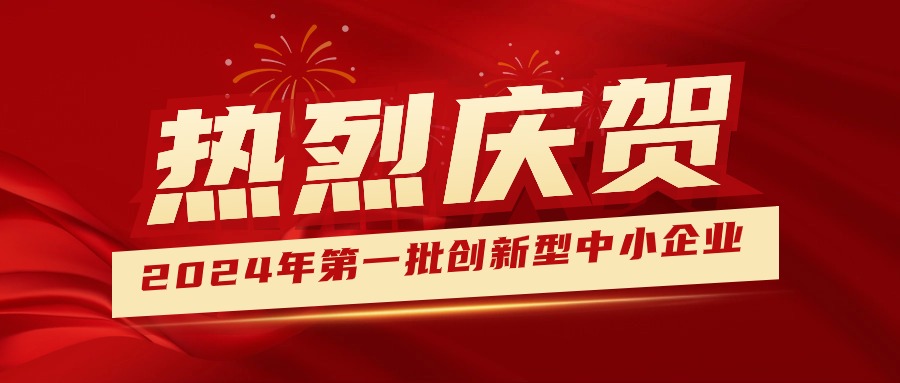 喜報！集團獲認定為2024年第一批創(chuàng  )新型中小企業(yè) 