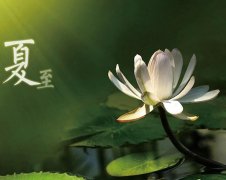 夏至節氣，廣西強壽藥業(yè)集團提醒您注意防暑降溫