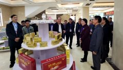 蒼梧縣人大學(xué)習考察組一行蒞臨集團參觀(guān)指導