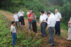 廣西南寧市副市長(cháng)溫守榮對隆安縣中藥材種植情況展開(kāi)調研